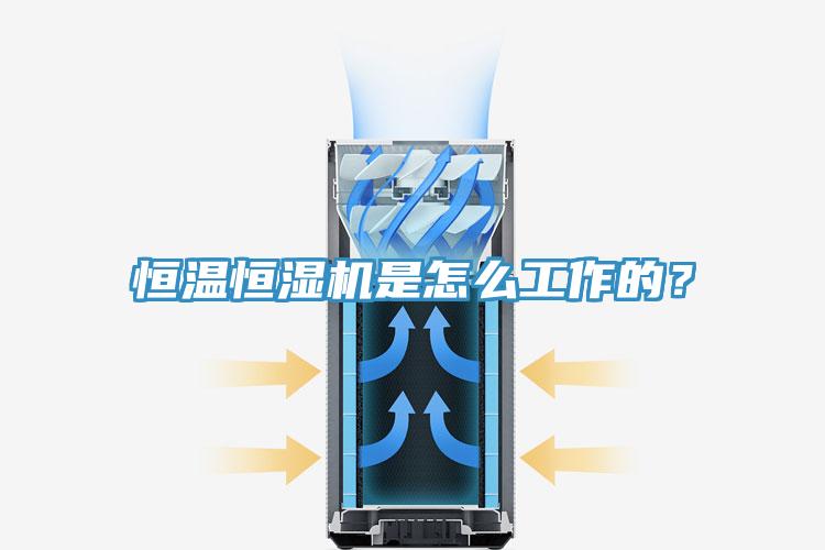 亚洲欧美一级特黄大片 恒温恒湿机是怎么工作的？