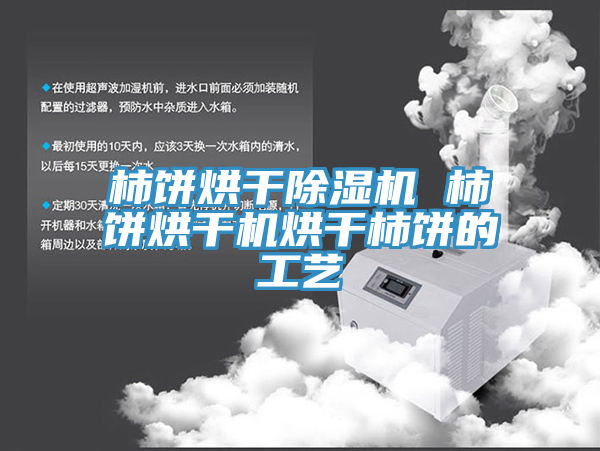 亚洲人成综合第一网站 柿饼烘干除湿机 柿饼烘干机烘干柿饼的工艺