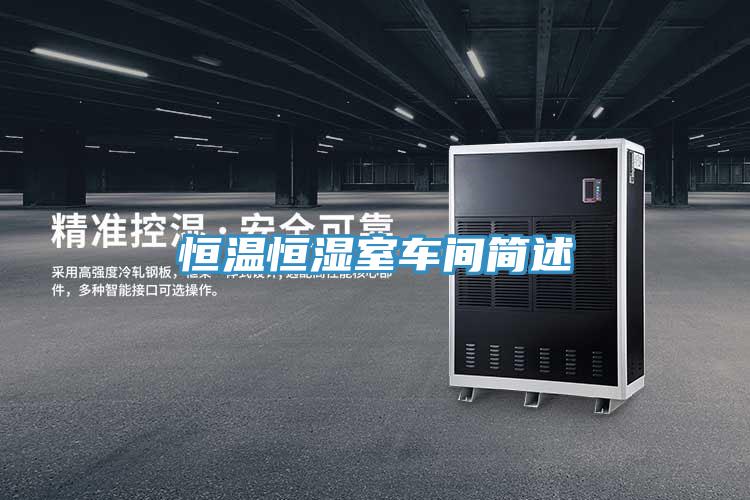 亚洲人成综合第一网站 恒温恒湿室车间简述