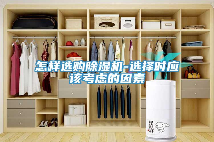 亚洲人成综合第一网站 怎样选购除湿机-选择时应该考虑的因素