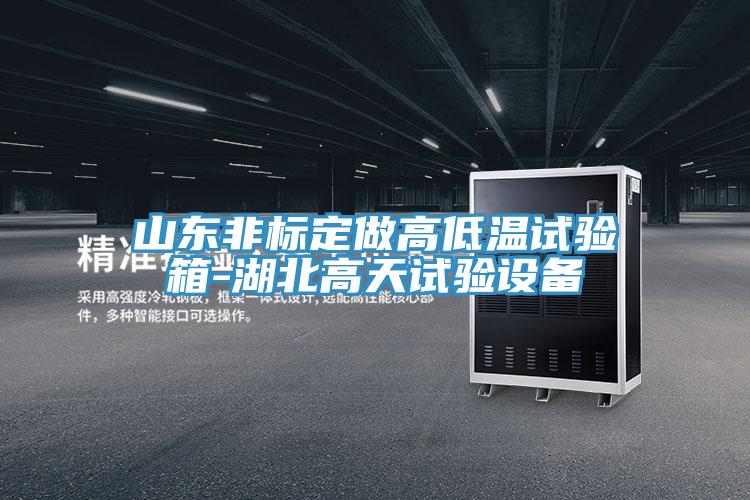 亚洲人成综合第一网站 山东非标定做高低温试验箱-湖北高天试验设备