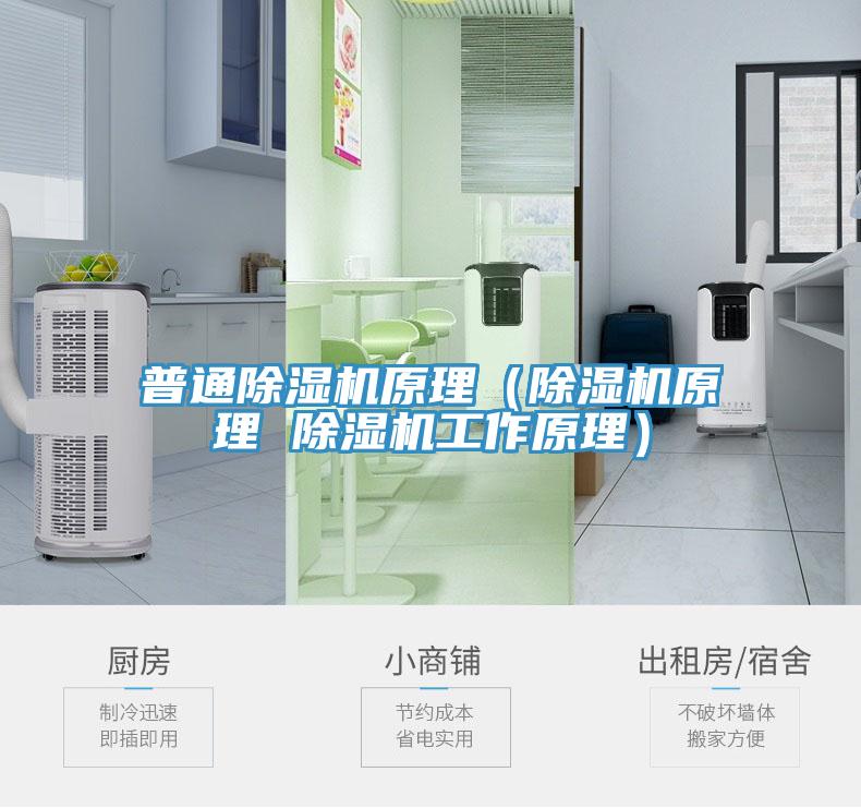 亚洲人成综合第一网站 普通除湿机原理（除湿机原理 除湿机工作原理）