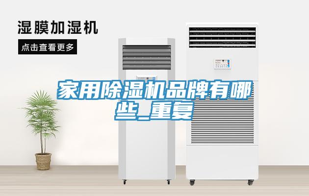亚洲乱码一区二区三区 家用除湿机品牌有哪些_重复