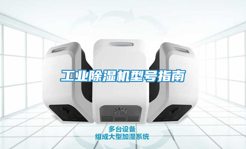 亚洲欧美一级特黄大片 工业除湿机型号指南