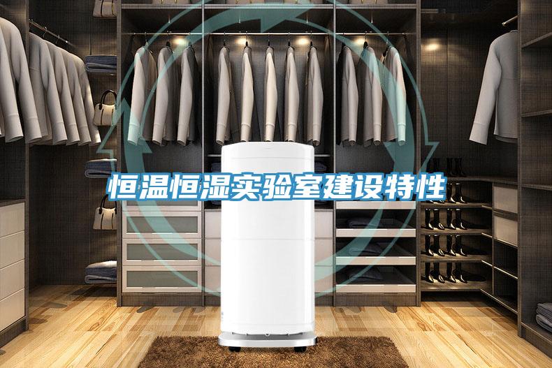 亚洲欧美一级特黄大片 恒温恒湿实验室建设特性