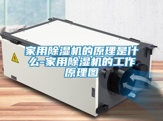 亚洲乱码一区二区三区 家用除湿机的原理是什么-家用除湿机的工作原理图