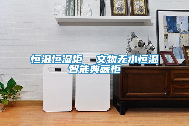 亚洲乱码一区二区三区 恒温恒湿柜  文物无水恒湿智能典藏柜