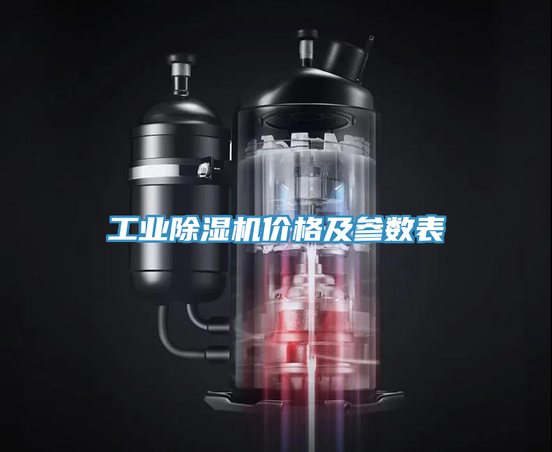 亚洲人成综合第一网站 工业除湿机价格及参数表