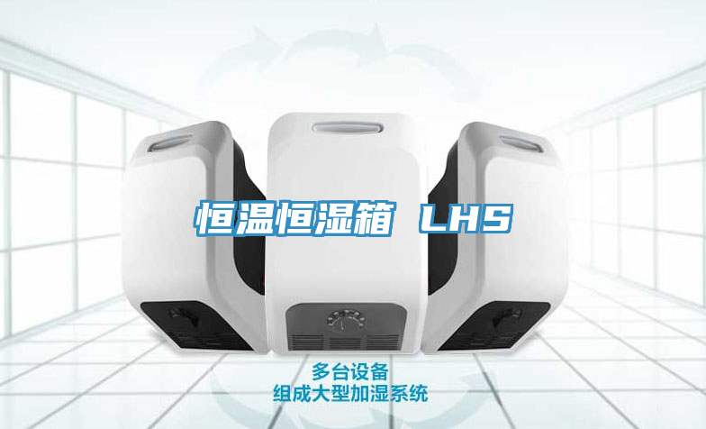 亚洲乱码一区二区三区 恒温恒湿箱 LHS