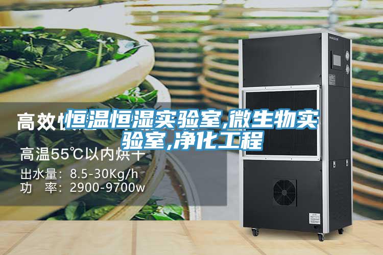 亚洲人成综合第一网站 恒温恒湿实验室,微生物实验室,净化工程