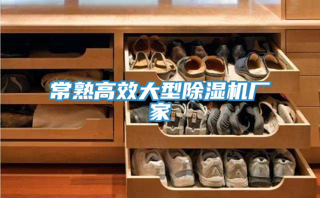亚洲人成综合第一网站 常熟高效大型除湿机厂家