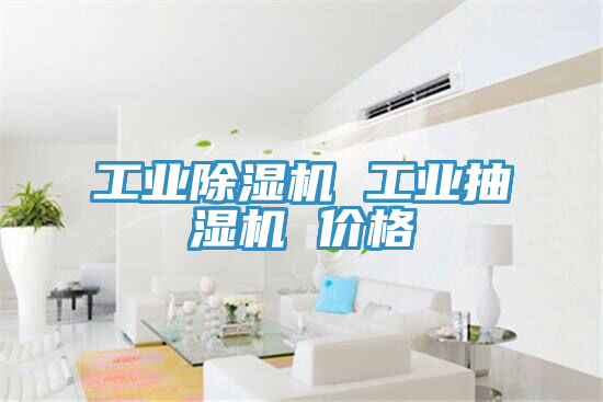 亚洲人成综合第一网站 工业除湿机 工业抽湿机 价格