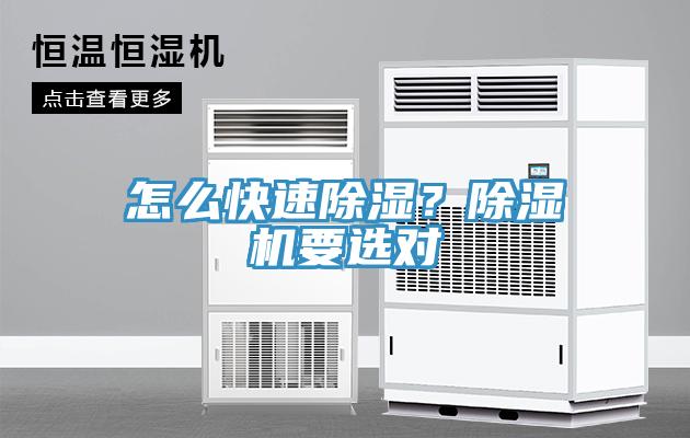 亚洲人成综合第一网站 怎么快速除湿？除湿机要选对