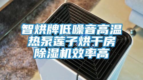 亚洲乱码一区二区三区 智烘牌低噪音高温热泵莲子烘干房除湿机效率高