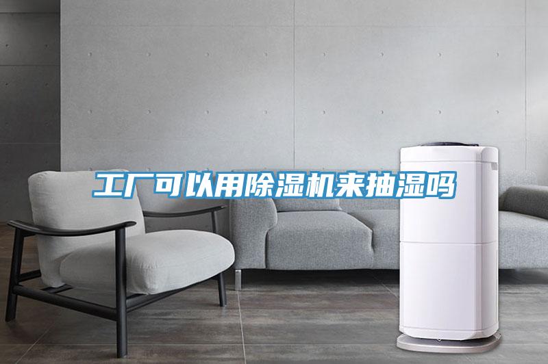 亚洲欧美一级特黄大片 工厂可以用除湿机来抽湿吗