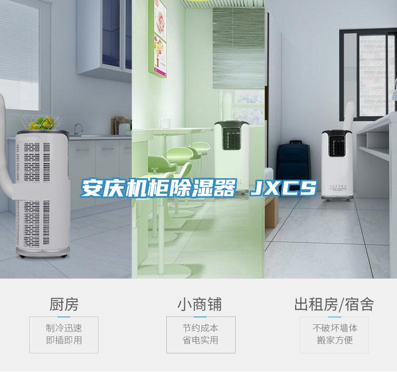 亚洲欧美一级特黄大片 安庆机柜除湿器 JXCS