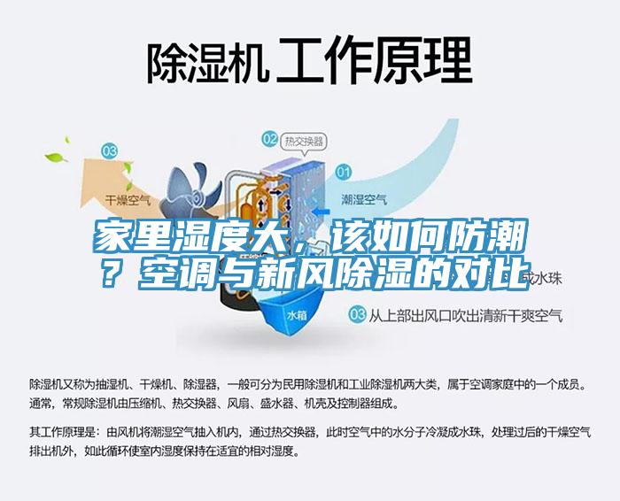 亚洲人成综合第一网站 家里湿度大，该如何防潮？空调与新风除湿的对比