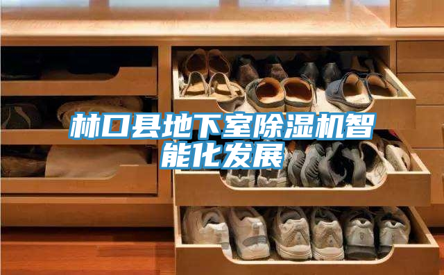 亚洲乱码一区二区三区 林口县地下室除湿机智能化发展