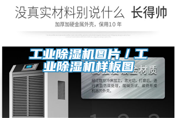 亚洲乱码一区二区三区 工业除湿机图片／工业除湿机样板图