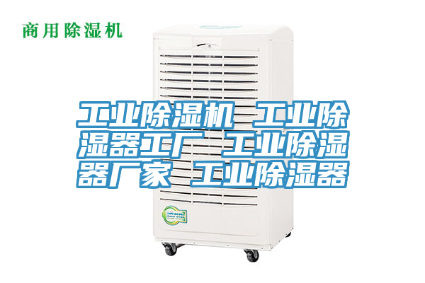 亚洲欧美一级特黄大片 工业除湿机 工业除湿器工厂 工业除湿器厂家 工业除湿器