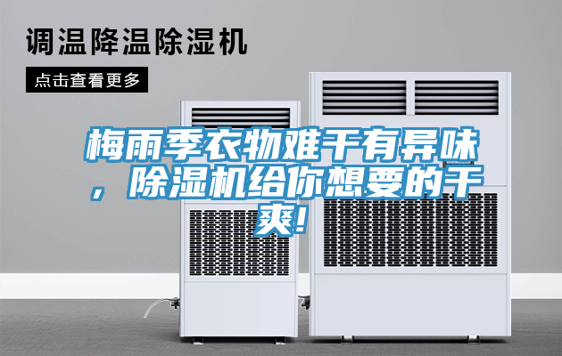 亚洲欧美一级特黄大片 梅雨季衣物难干有异味，除湿机给你想要的干爽!