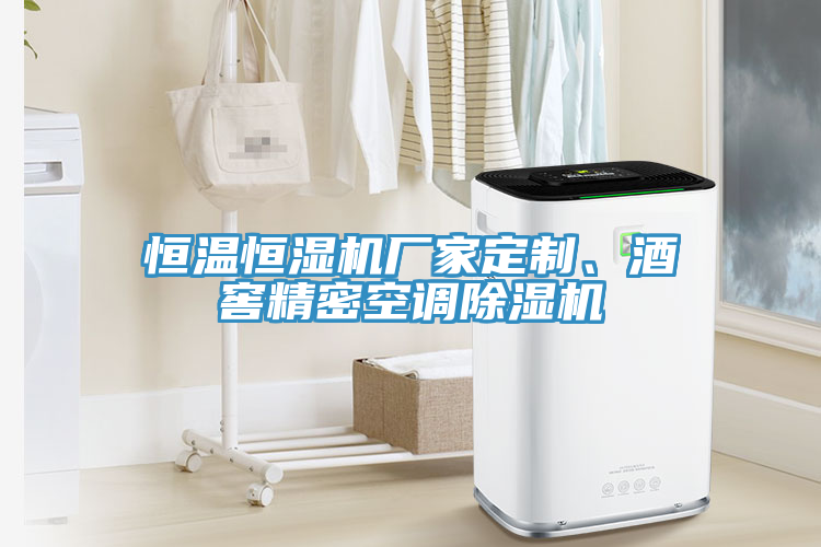 亚洲欧美一级特黄大片 恒温恒湿机厂家定制、酒窖精密空调除湿机