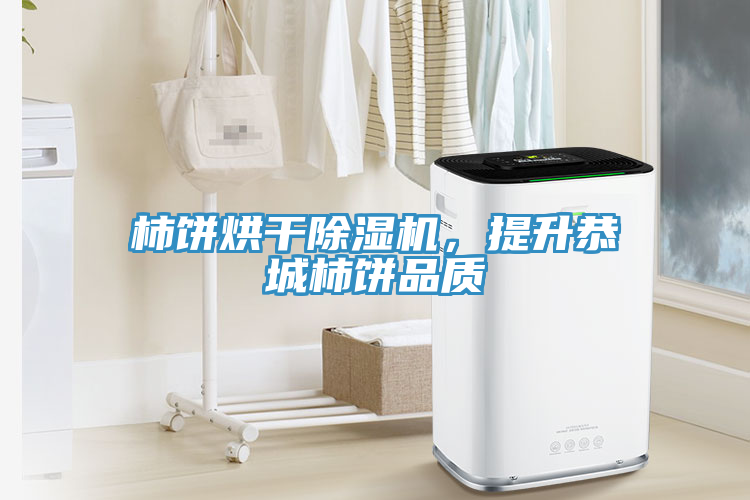 亚洲乱码一区二区三区 柿饼烘干除湿机，提升恭城柿饼品质