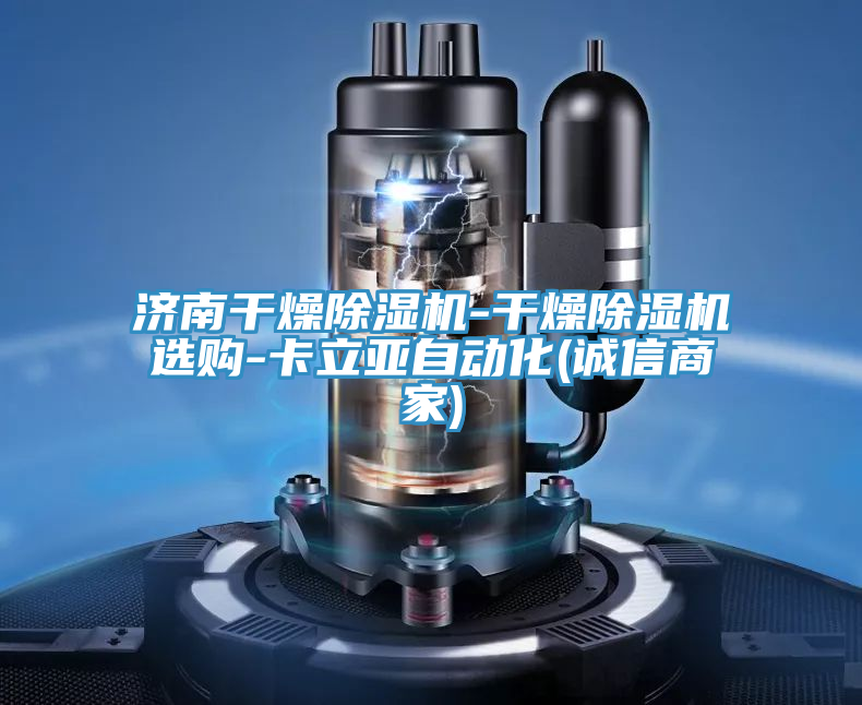 亚洲欧美一级特黄大片 济南干燥除湿机-干燥除湿机选购-卡立亚自动化(诚信商家)