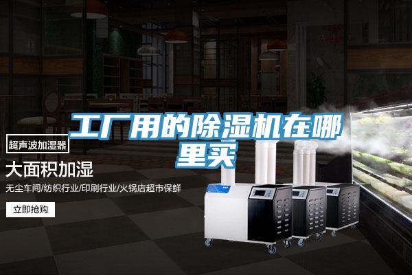 亚洲欧美一级特黄大片 工厂用的除湿机在哪里买