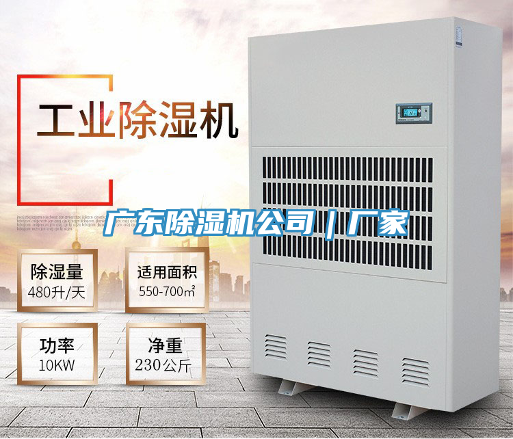 亚洲欧美一级特黄大片 广东除湿机公司｜厂家