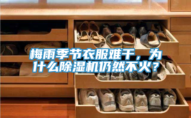 亚洲乱码一区二区三区 梅雨季节衣服难干，为什么除湿机仍然不火？