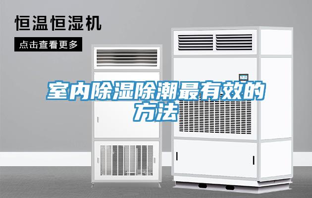 亚洲人成综合第一网站 室内除湿除潮最有效的方法