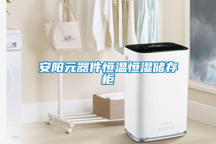 亚洲欧美一级特黄大片 安阳元器件恒温恒湿储存柜