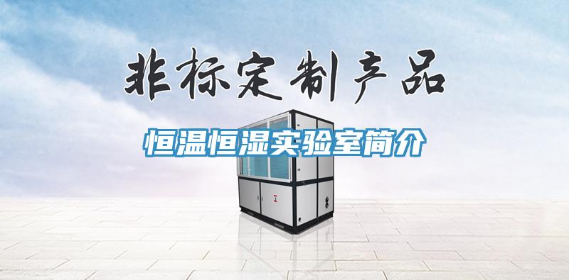 亚洲乱码一区二区三区 恒温恒湿实验室简介