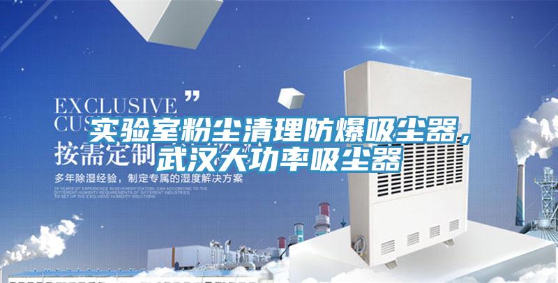 亚洲乱码一区二区三区 实验室粉尘清理防爆吸尘器，武汉大功率吸尘器