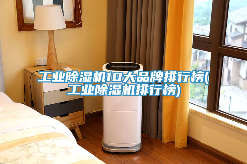 亚洲欧美一级特黄大片 工业除湿机10大品牌排行榜(工业除湿机排行榜)