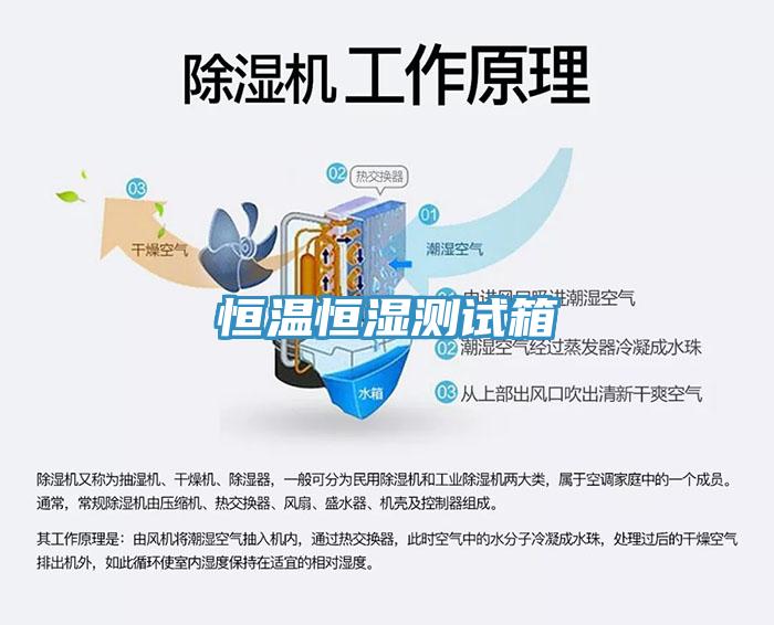 亚洲欧美一级特黄大片 恒温恒湿测试箱