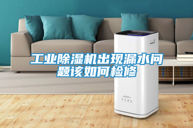 亚洲乱码一区二区三区 工业除湿机出现漏水问题该如何检修