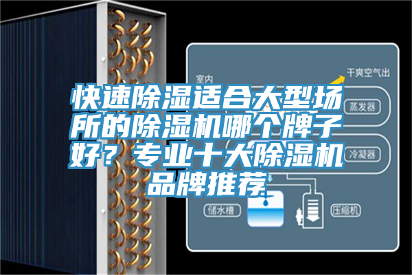 快速除湿适合大型场所的除湿机哪个牌子好？专业十大除湿机品牌推荐