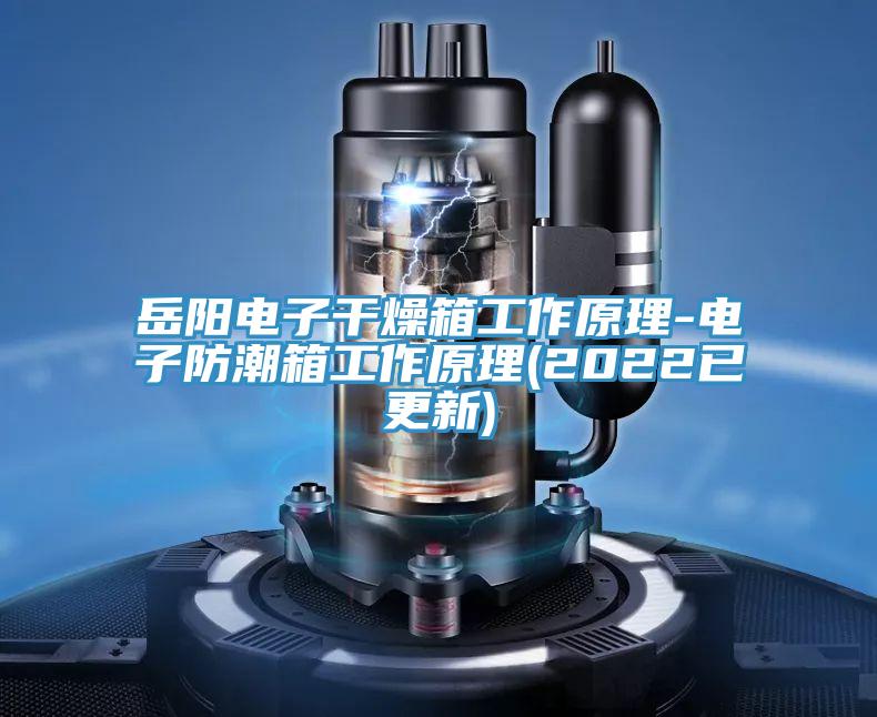 亚洲人成综合第一网站 岳阳电子干燥箱工作原理-电子防潮箱工作原理(2022已更新)