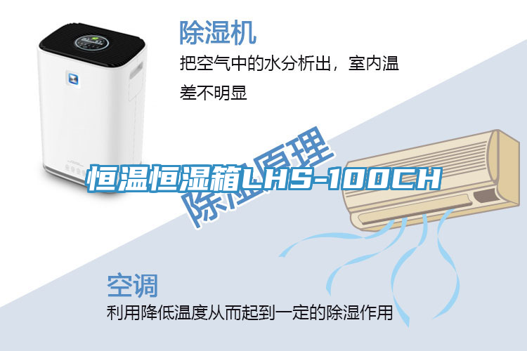 亚洲欧美一级特黄大片 恒温恒湿箱LHS-100CH