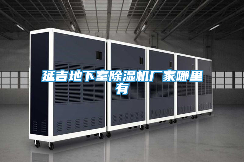 亚洲欧美一级特黄大片 延吉地下室除湿机厂家哪里有