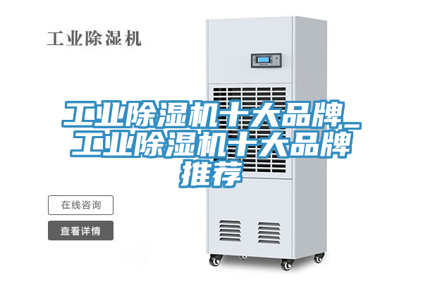 亚洲欧美一级特黄大片 工业除湿机十大品牌_工业除湿机十大品牌推荐