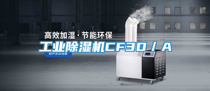 亚洲欧美一级特黄大片 工业除湿机CF3D／A