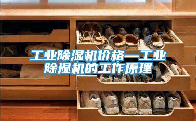 亚洲乱码一区二区三区 工业除湿机价格—工业除湿机的工作原理
