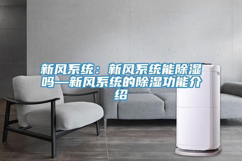 亚洲人成综合第一网站 新风系统：新风系统能除湿吗—新风系统的除湿功能介绍