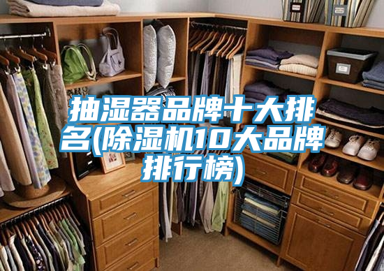 亚洲人成综合第一网站 抽湿器品牌十大排名(除湿机10大品牌排行榜)