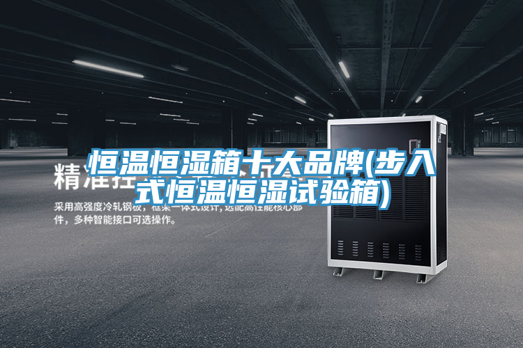 亚洲人成综合第一网站 恒温恒湿箱十大品牌(步入式恒温恒湿试验箱)