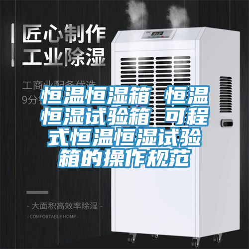 亚洲人成综合第一网站 恒温恒湿箱 恒温恒湿试验箱 可程式恒温恒湿试验箱的操作规范