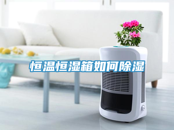 亚洲欧美一级特黄大片 恒温恒湿箱如何除湿